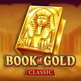 game logo by Playson on stakeprixscasino.com