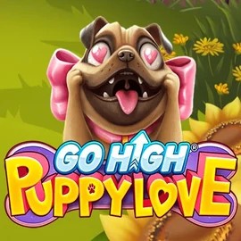 game logo by RubyPlay on stakeprixscasino.com